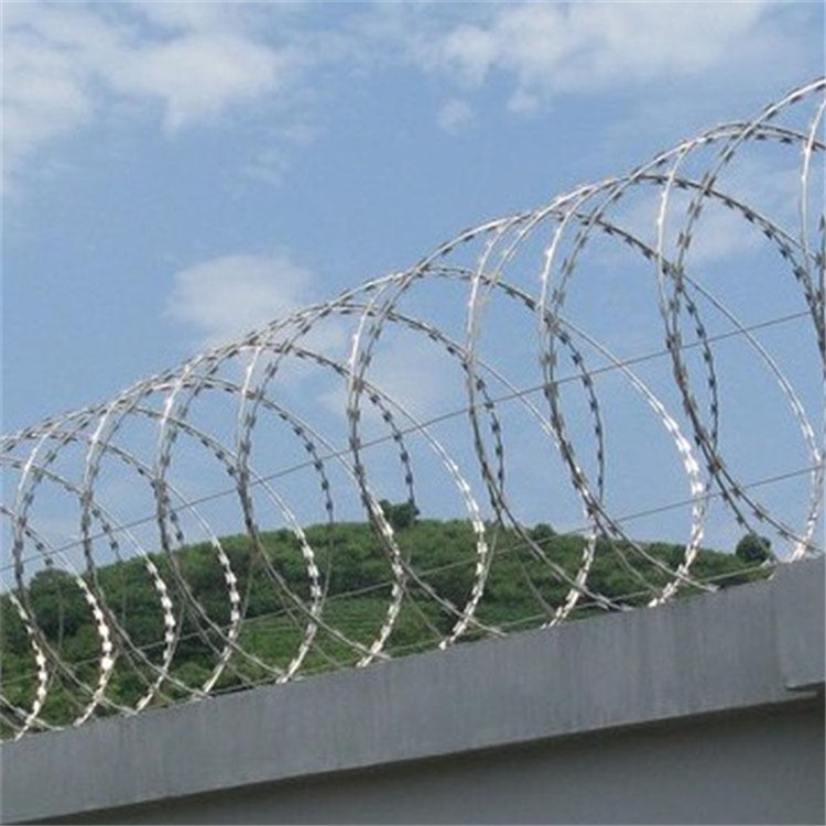 不銹鋼刀刺網案例展示圖片1