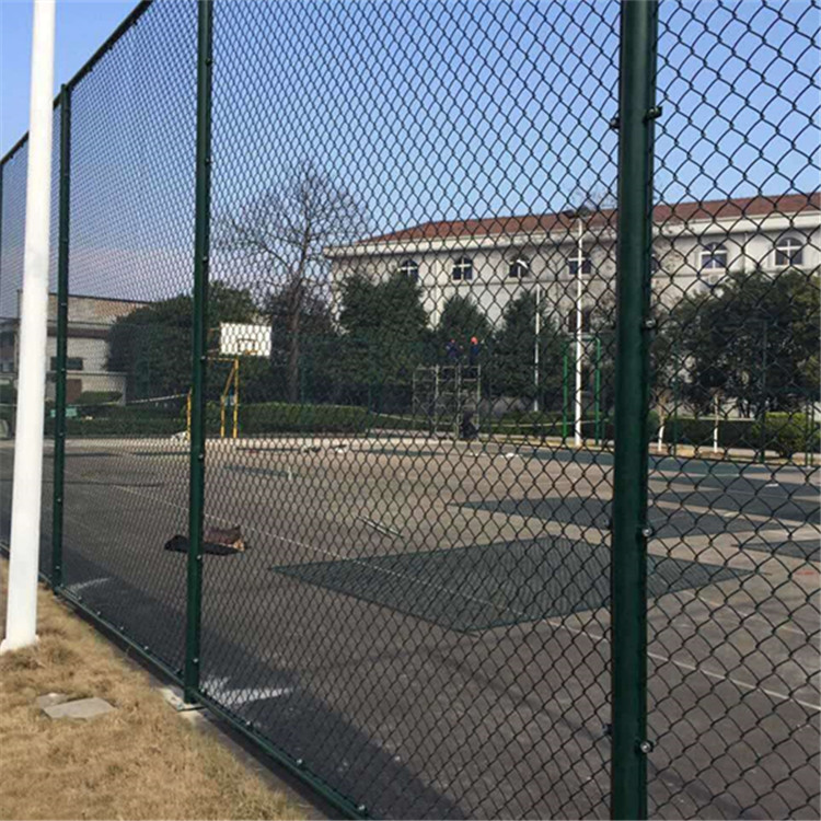 組裝型球場圍網案例展示圖片2